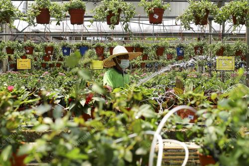 AKTIVITI PEKERJAAN SEMASA CUACA PANAS DI NEGERI SEMBILAN