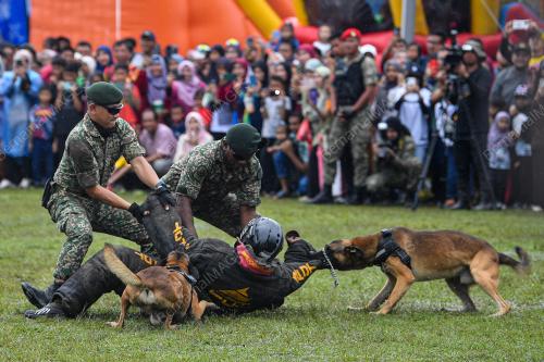 KARNIVAL HARI TERBUKA ANGKATAN TENTERA MALAYSIA