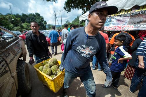NS05_07012018_DURIAN