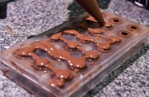HARI COKLAT SEDUNIA
