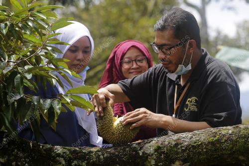 MOHD HISHAM ABDUL RAFAR