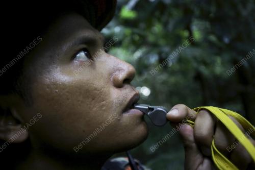 NS05_12082019_SAR_GUNUNG
