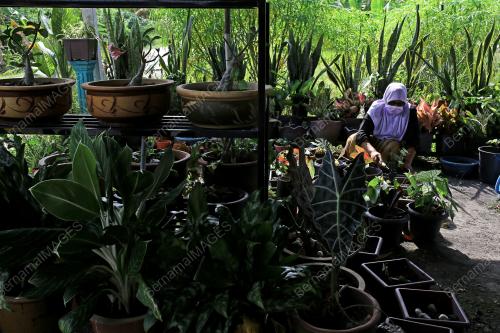 AKTIVITI HARIAN PENDUDUK PASCA PKPD DI MUKIM JUASSEH