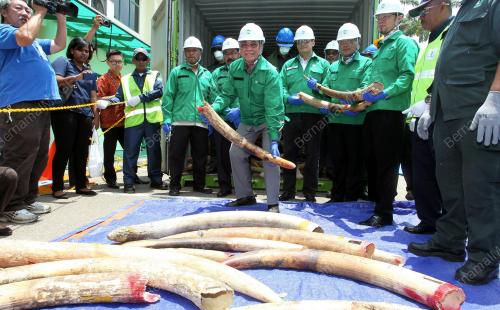 NS05_14042016_LUPUS_GADING