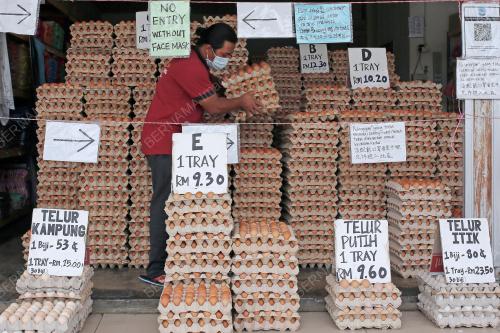 TELUR AYAM