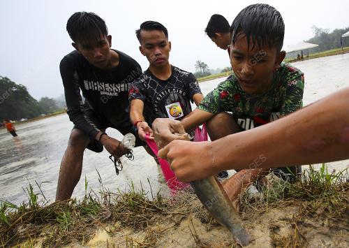 BOLA SEPAK SAWAH