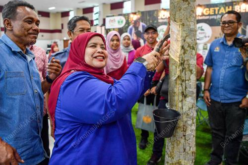 DATUK RUBIAH WANG