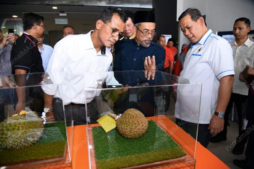 NS05_19072019_PESTA_DURIAN