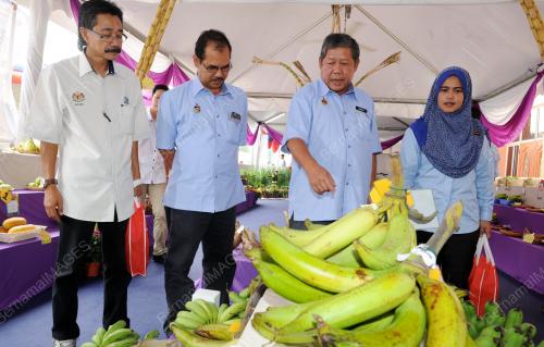 NS05_19092015_HARI_PELADANG