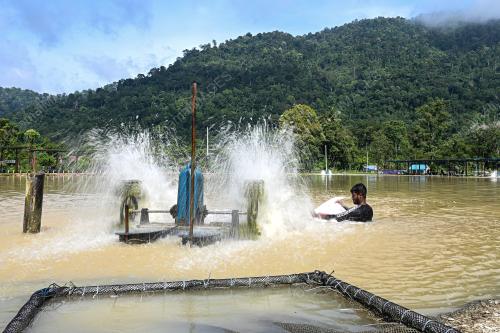 PASCA BANJIR KILAT