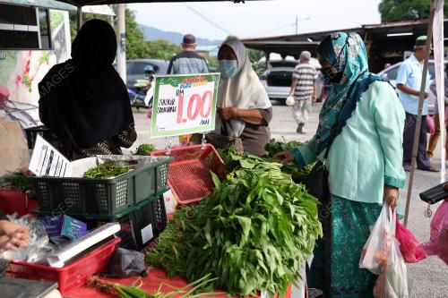 JUALAN AGRO MADANI
