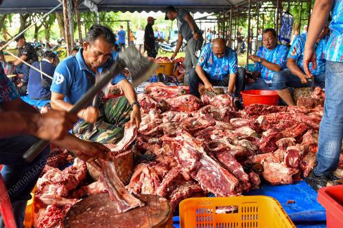 QURBAN PERDANA MADANI PARLIMEN PD