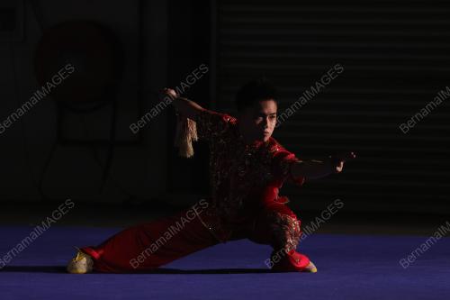 WONG WENG SON