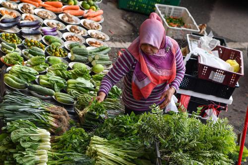BEKALAN SAYUR