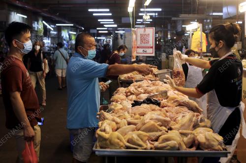 BEKALAN AYAM DI SEREMBAN