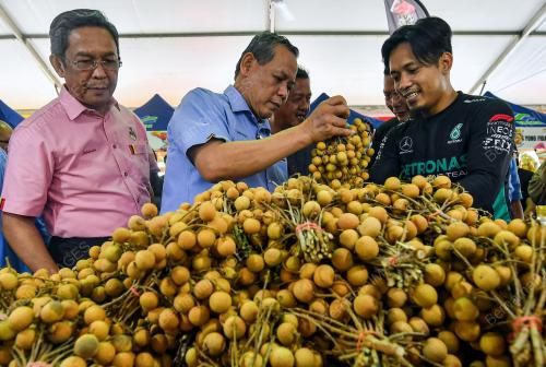 DATUK SERI AMINUDDIN HARUN