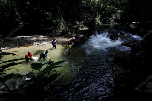 PELEPASAN BENIH IKAN DI SUNGAI KENABOI