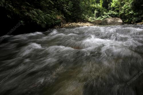 PERHUTANAN HUTAN SIMPAN
