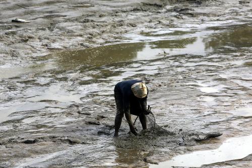 LAWATAN PROJEK PERIKANAN DAN VETERINAR TERKESAN BENCANA