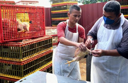 PERSIAPAN HARI RAYA