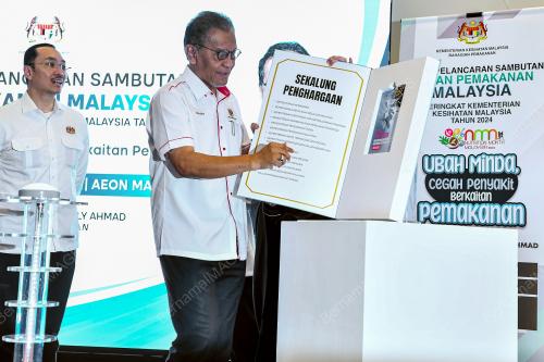 DATUK SERI DR DZULKEFLY AHMAD