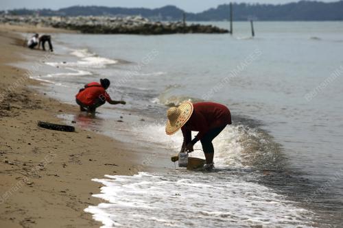 HARI PANTAI KEBANGSAAN