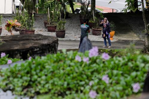 TAMAN ORKID SEREMBAN