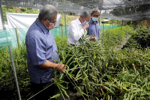 DATUK SERI MUSTAPA MOHAMED