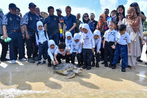 PENYU KARAH