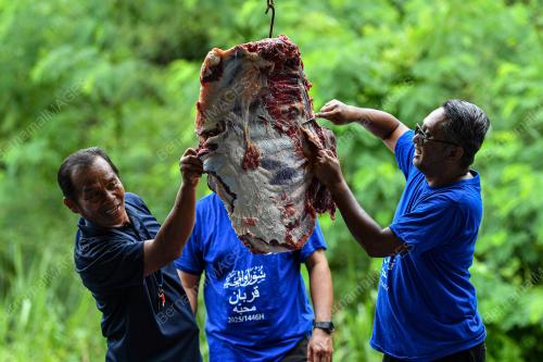 QURBAN AIDILADHA