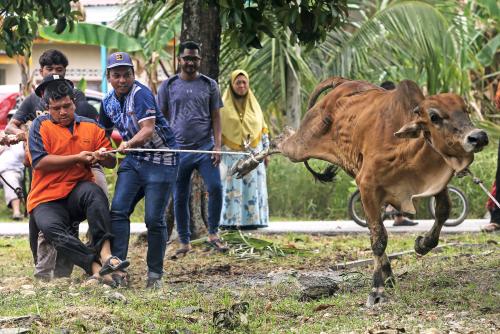 IBADAH KORBAN SEMPENA HARI RAYA AIDILADHA
