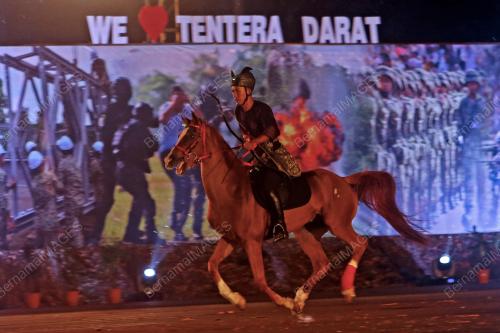PERSEMBAHAN TATU TENTERA DARAT DIRAJA MALAYSIA