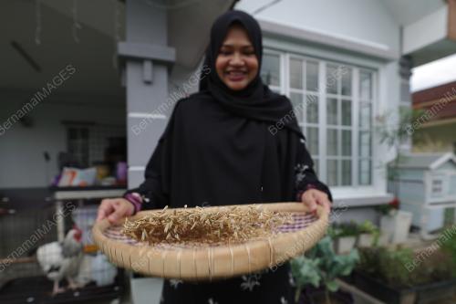 SITI AAI SHAH RAHMAN SHAH