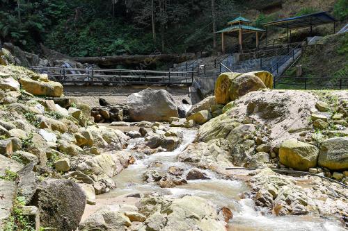 TAMAN EKO RIMBA JERAM TOI