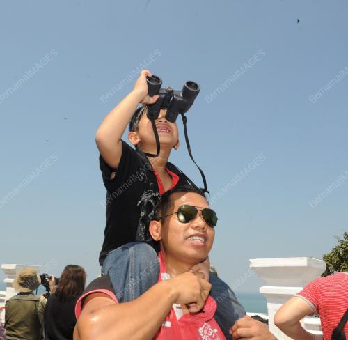 NS06_14032015_BURUNG_HIJRAH