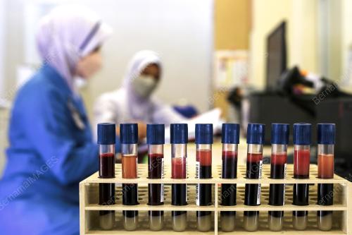 HARI PENDERMA DARAH SEDUNIA 2022