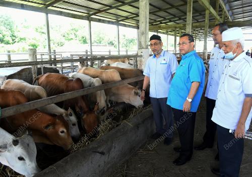 DATUK ABDUL FATTAH ABDULLAH