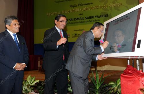 NS06_19082014_ISMAIL_SEMINAR