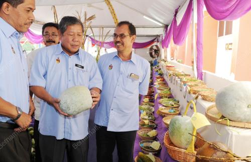 NS06_19092015_HARI_PELADANG