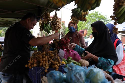 JUALAN AGRO MADANI