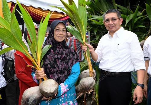 NS06_2003119_KELAPA_BN201903193833_20032019