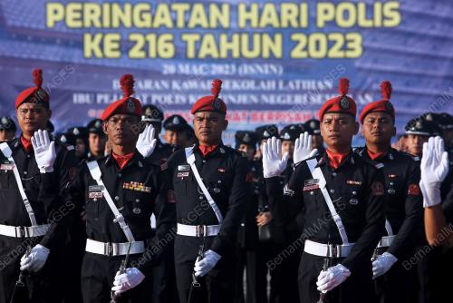 PASUKAN SIMPANAN PERSEKUTUAN (FRU)