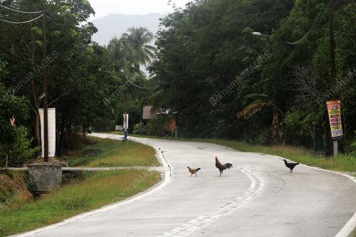 PEMANTAUAN KESELAMATAN DI PKPD KAMPUNG LAKAI