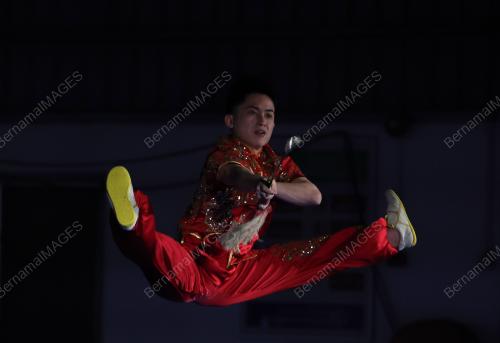 WONG WENG SON