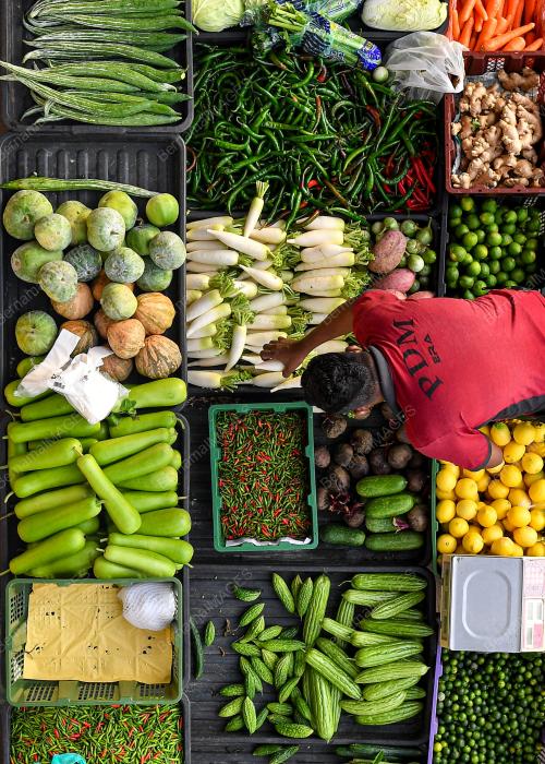 BEKALAN SAYUR