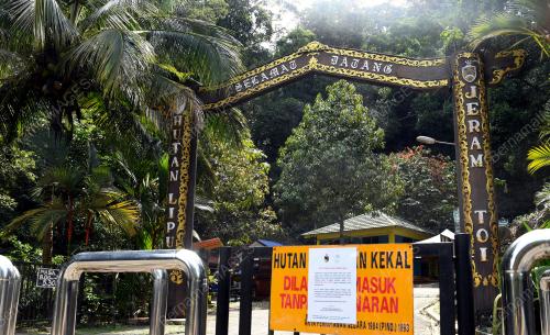 PKP-HUTAN LIPUR