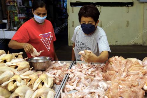 BEKALAN AYAM DI SEREMBAN