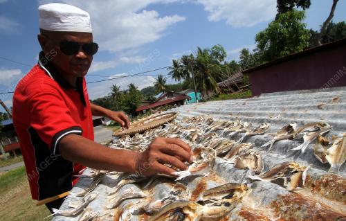 NS06_28022019_IKAN_KERING