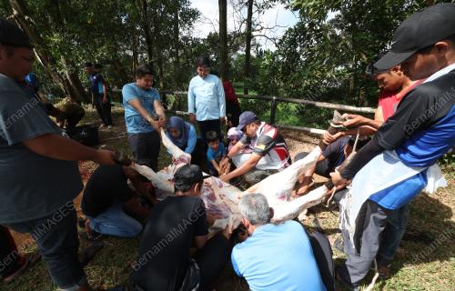 IBADAH KORBAN
