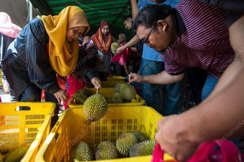 NS07_07012018_DURIAN